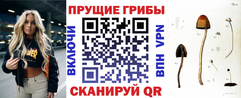 Галлюциногенные грибы прущие грибы  Николаевск 
