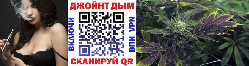 купить   Николаевск  Бошки Шишки OG Kush 